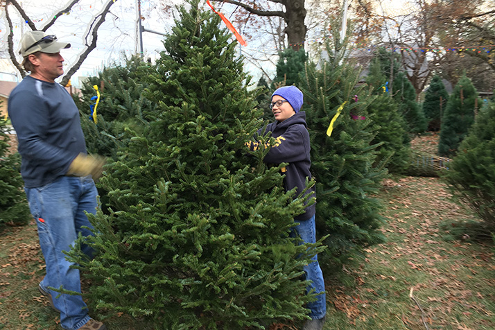 boy scout christmas tree sales mean holidays are in full boy scout christmas tree sales mean holidays are in full